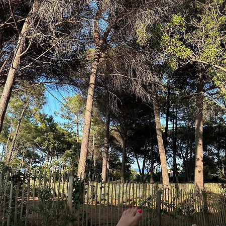 Villa Plages De La Nartelle- Maxime - Piscines Privees Sainte-Maxime