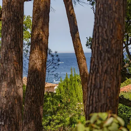 Plages De La Nartelle- Maxime - Piscine Privee Sainte-Maxime