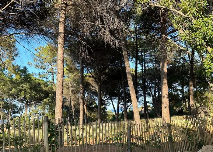 Villa Plages De La Nartelle- Maxime - Piscine Privee