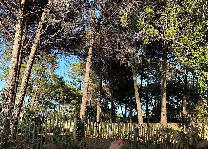 Villa Plages De La Nartelle- Maxime - Piscines Privees Sainte-Maxime