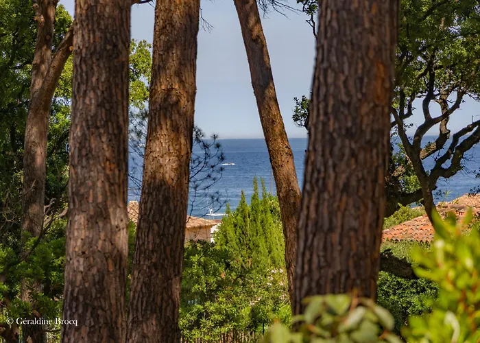 Plages De La Nartelle- Maxime - Piscines Privees 圣马克西姆